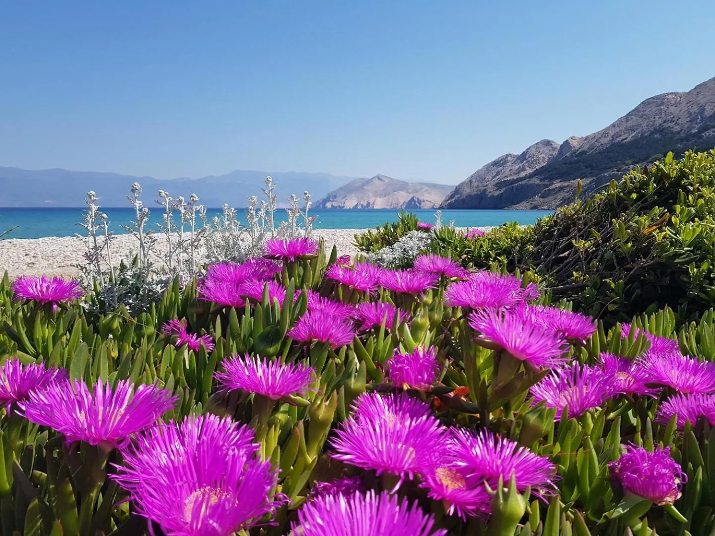 Apartment Miculinic Beach Baska